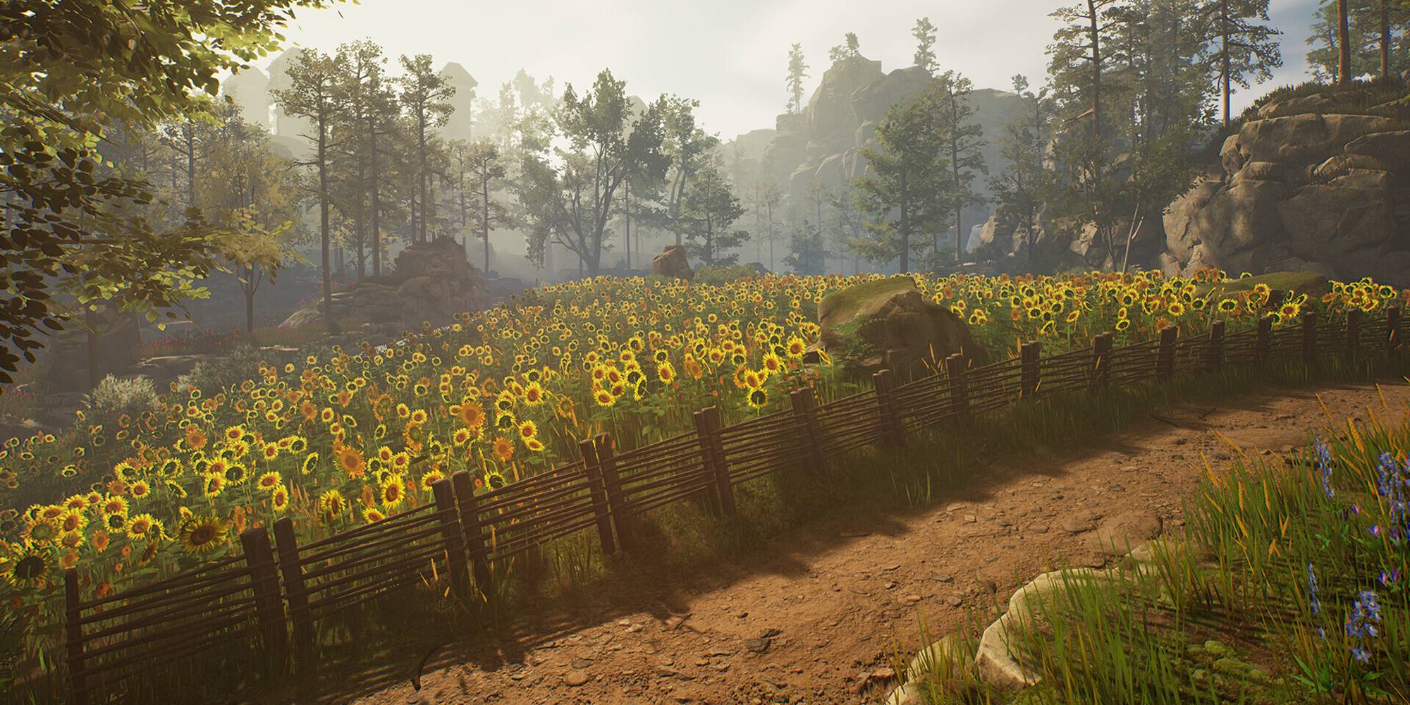 Of Ash And Steel Sunflower Field