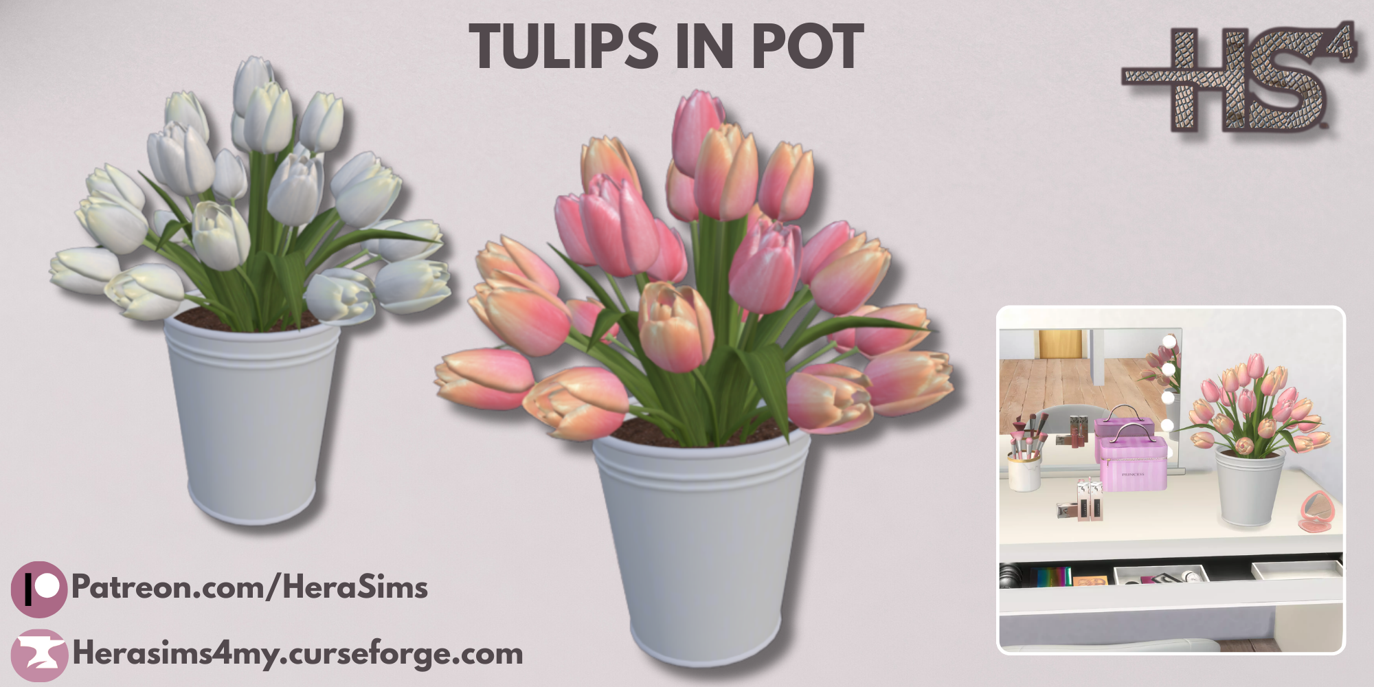 Tulips in pot