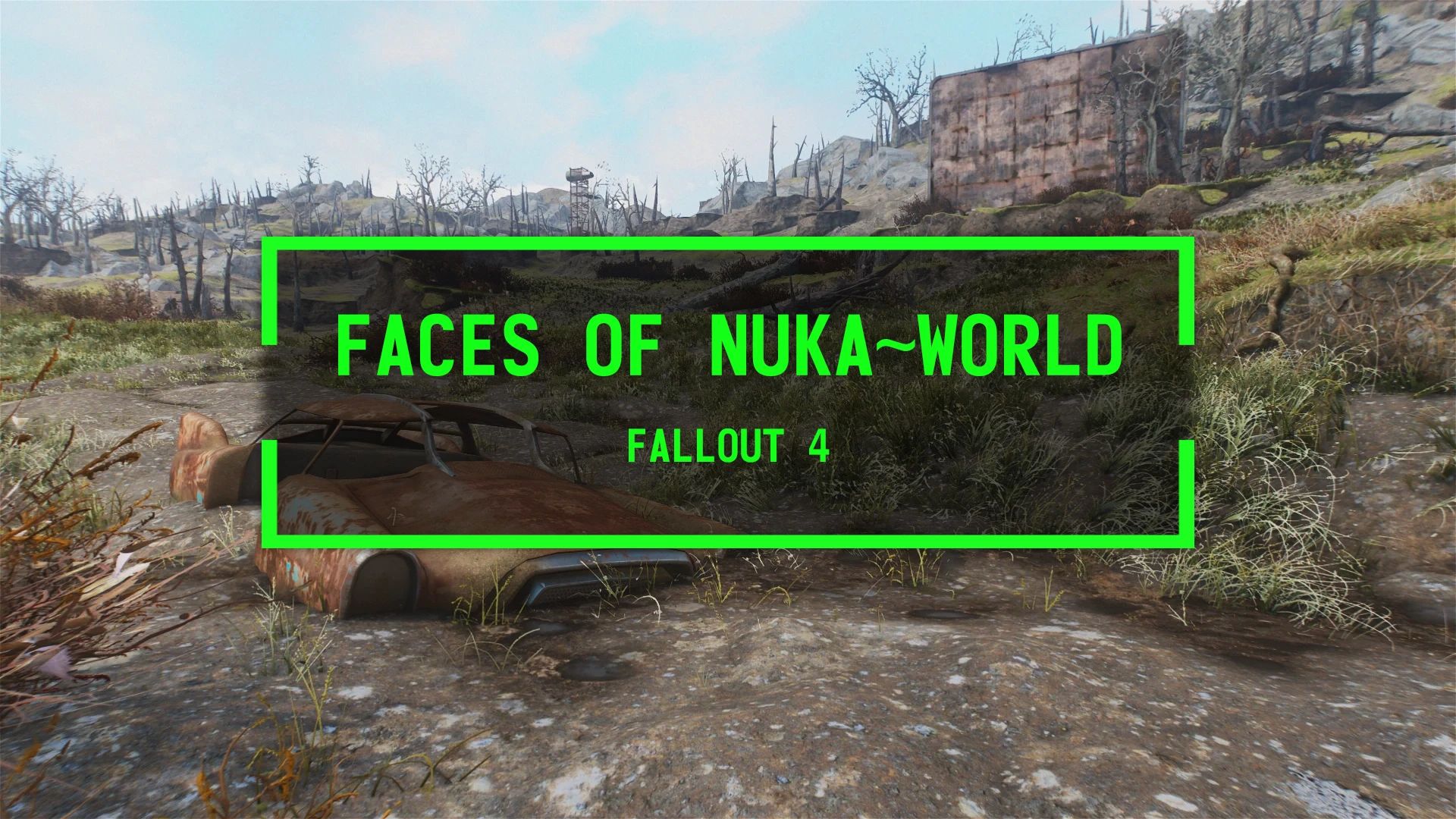 Faces of Nuka~World