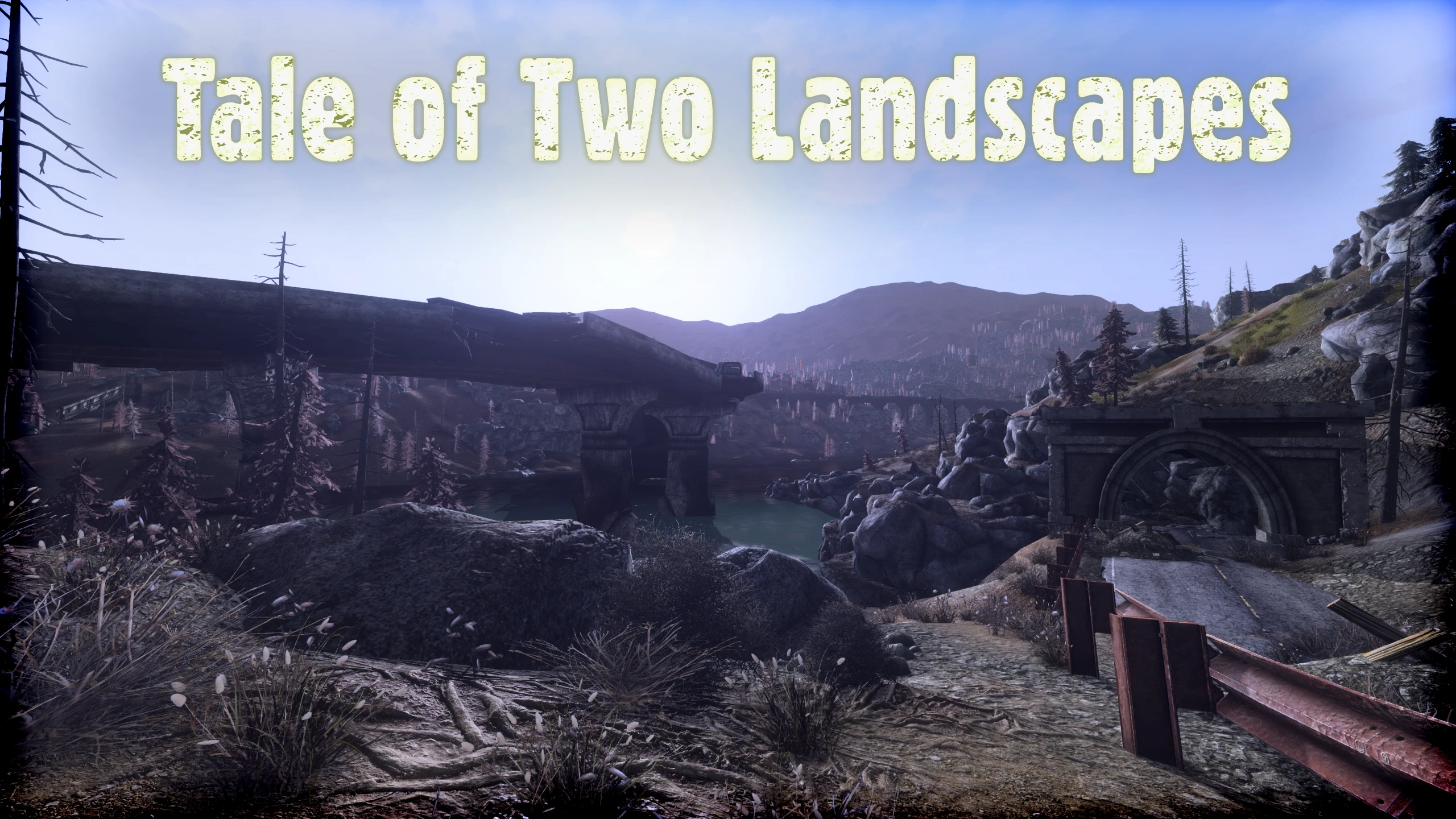 Tale of Two Landscapes