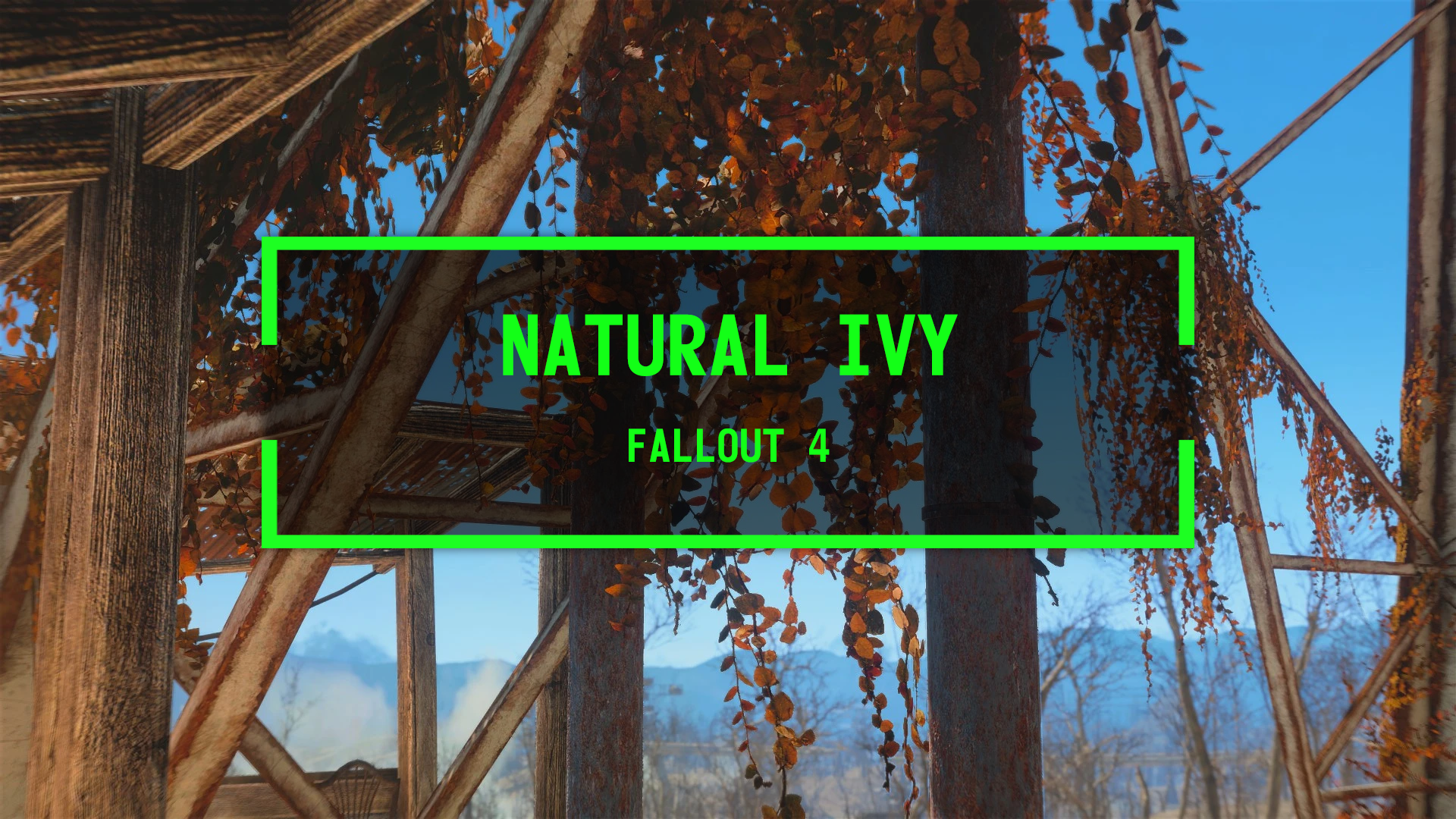 Natural Ivy