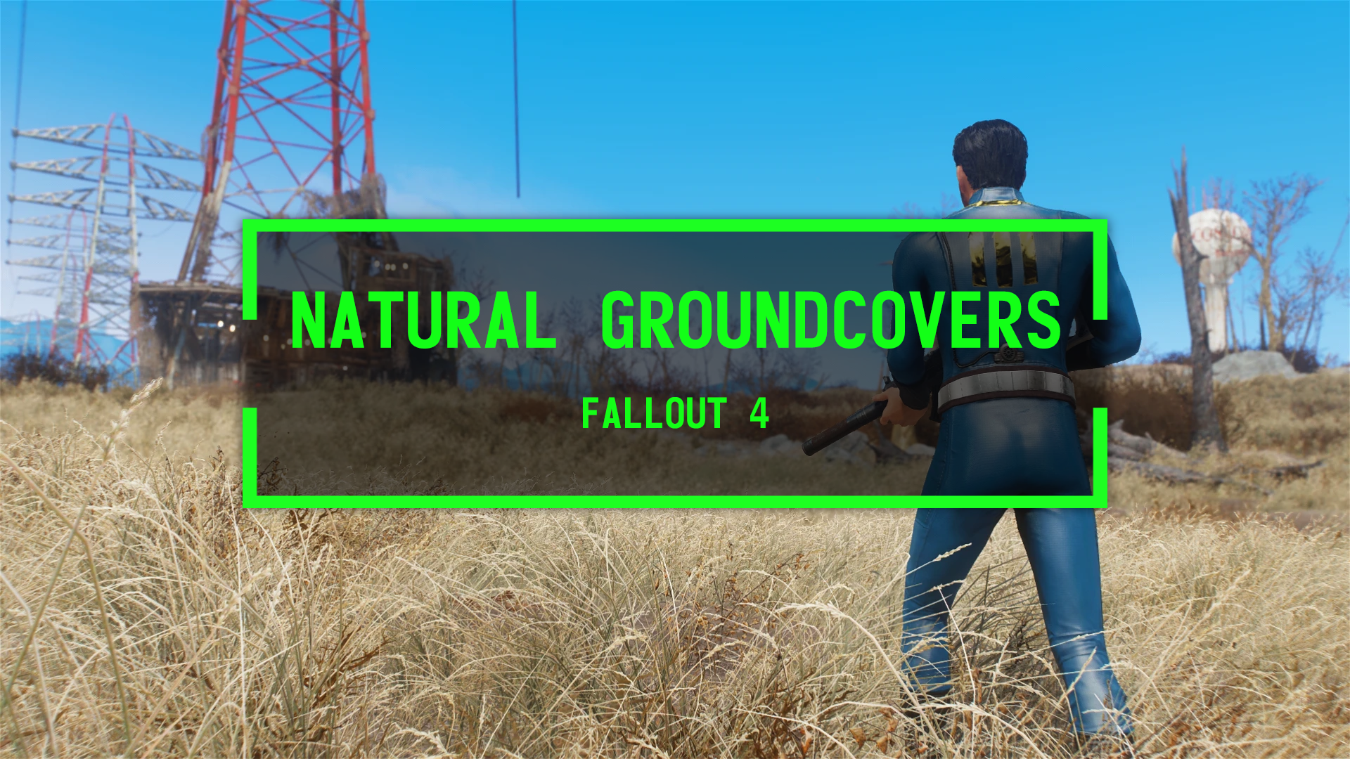 Natural Groundcovers
