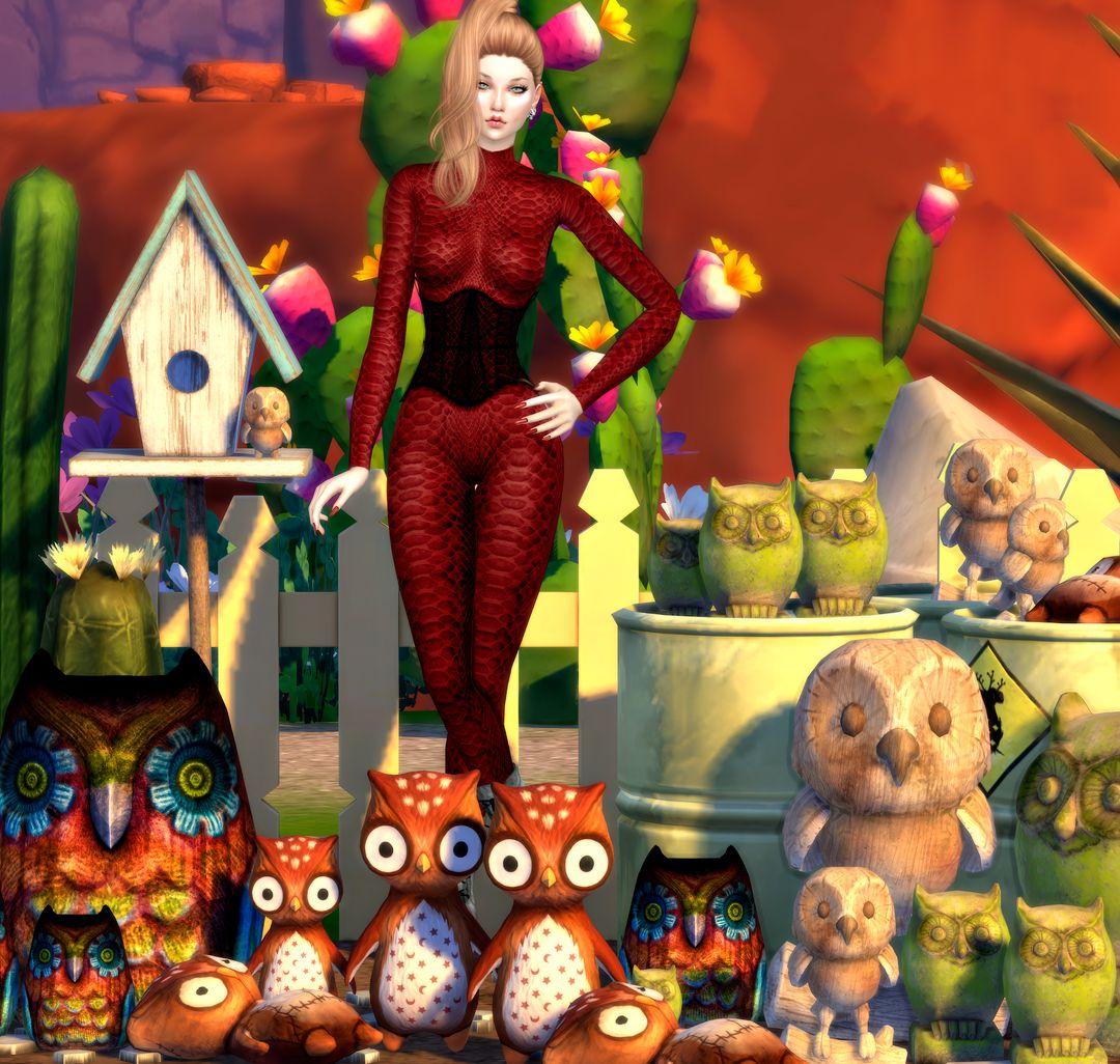 Owl Paradise set