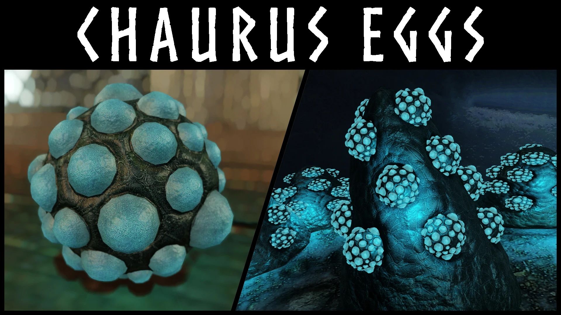Kanjs - Chaurus Eggs Animated and Motion
