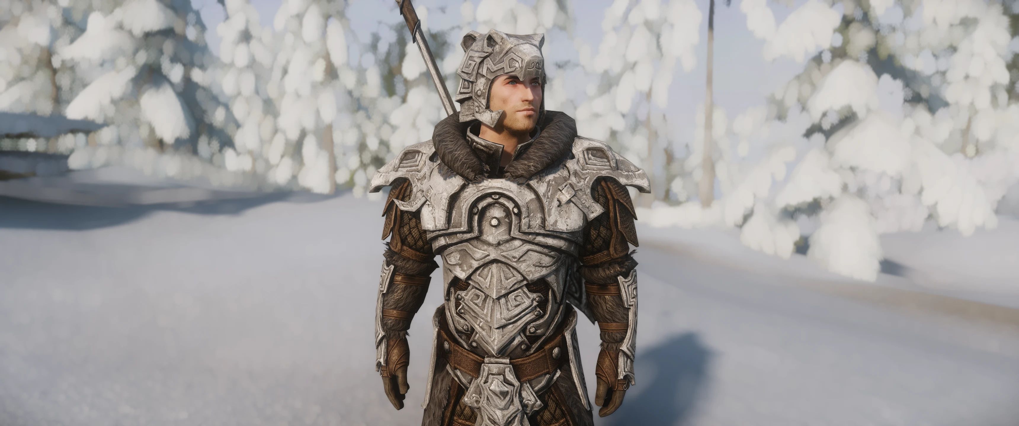 Nordic Armors and Weapons - Environment Map Edit