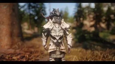 Dragon's Pride Armor