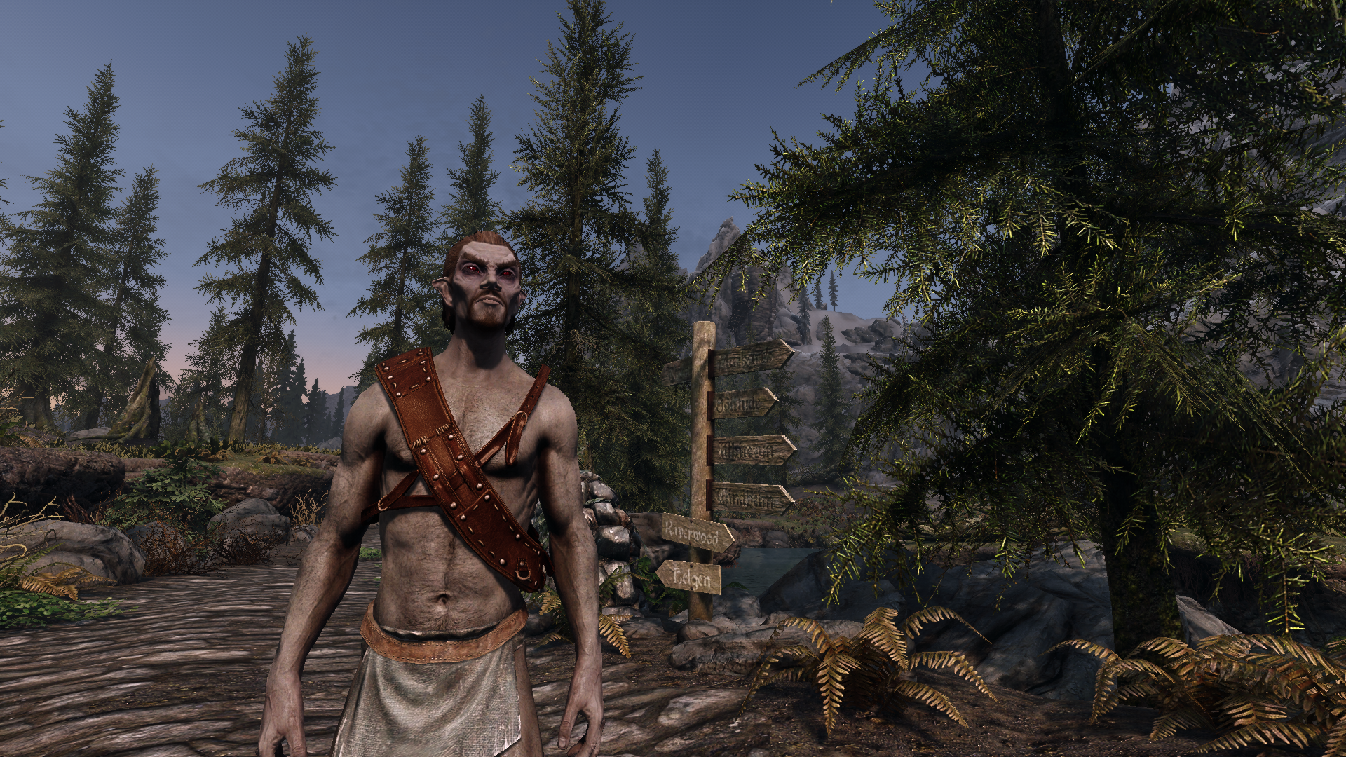 Witcher's Bandolier