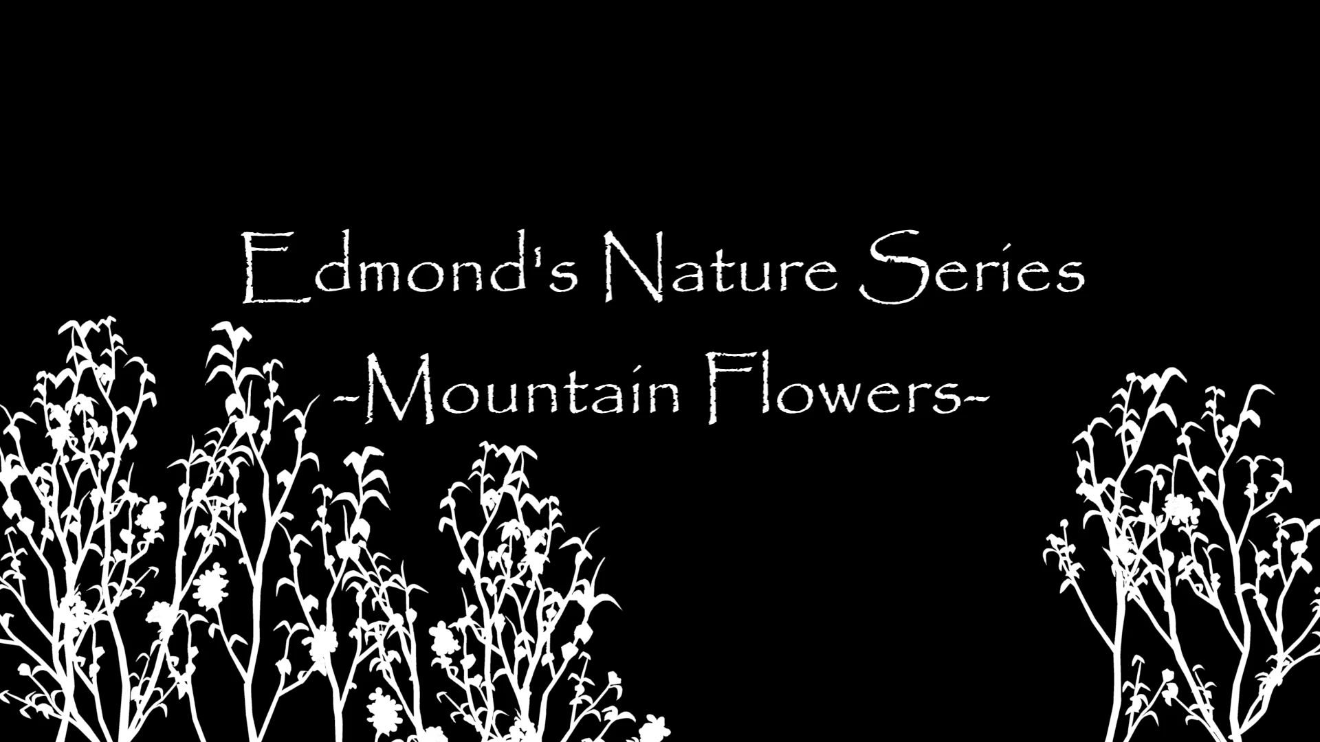 Edmond's Nature Series - MOUNTAIN FLOWERS Ultra HD Retexture
