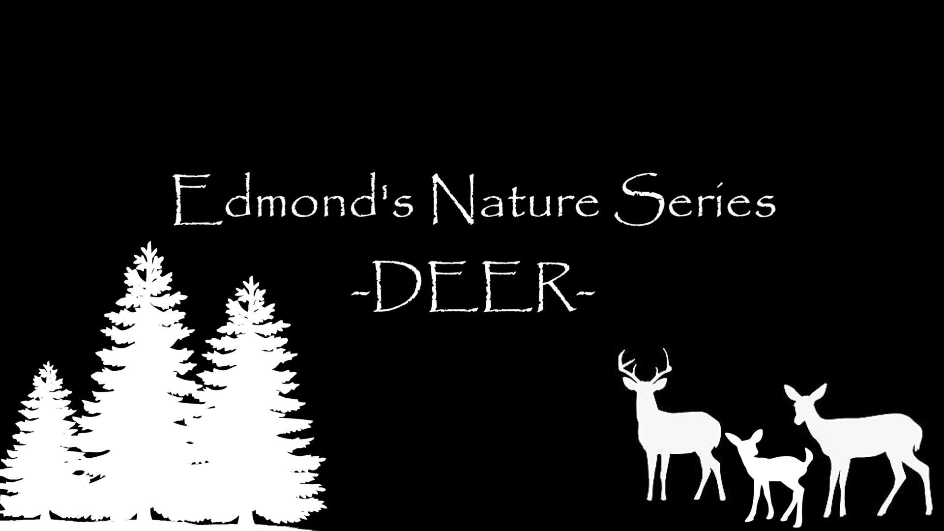 Edmond's Nature Series - DEER