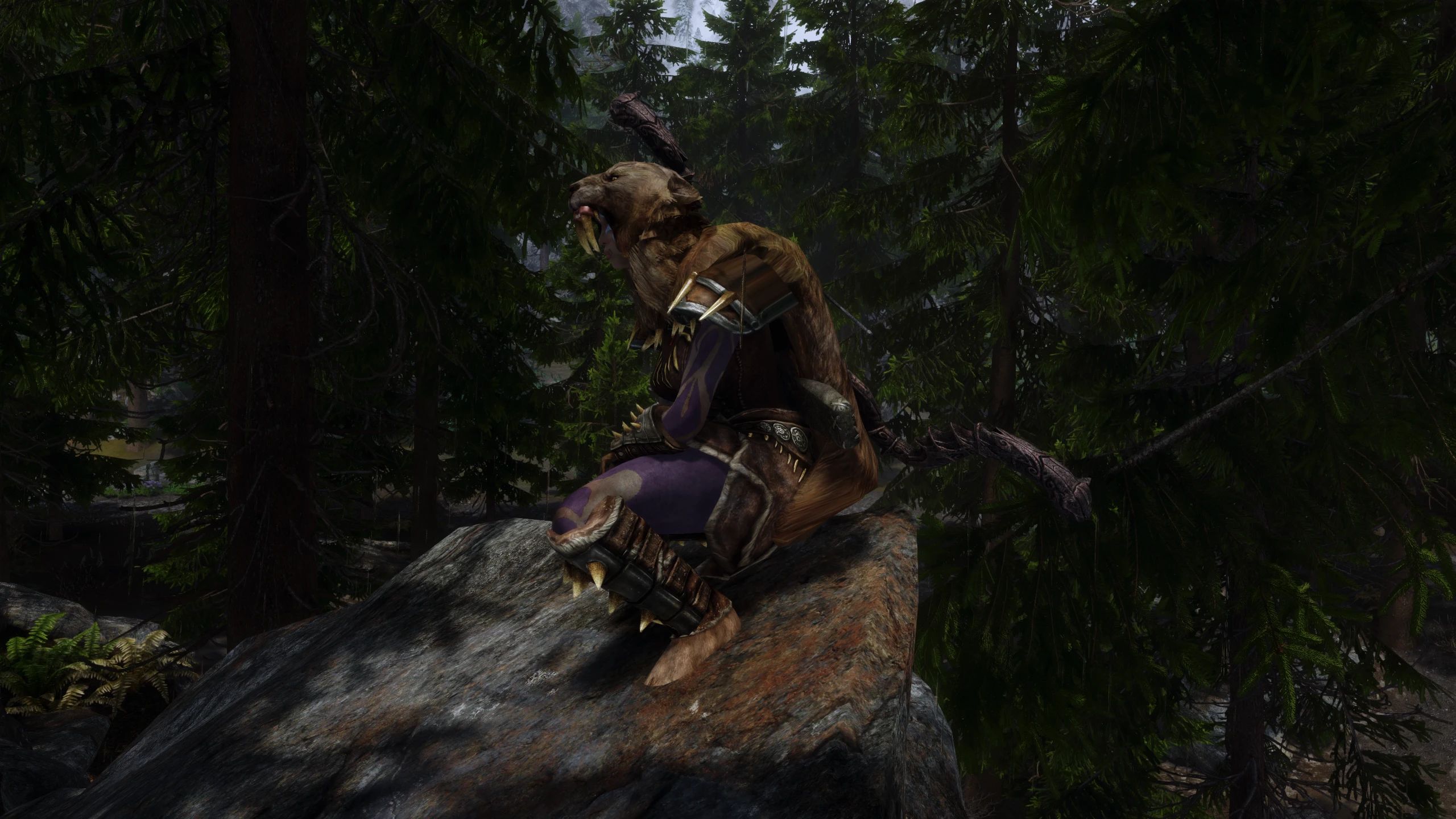 Sabrecat Gear BHUNP and HIMBO SE